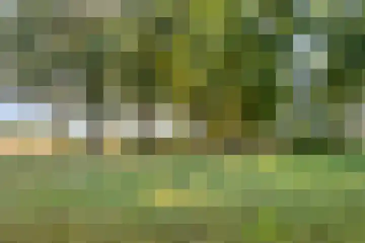 De Knolraap 35 Heesch thumbnail 27