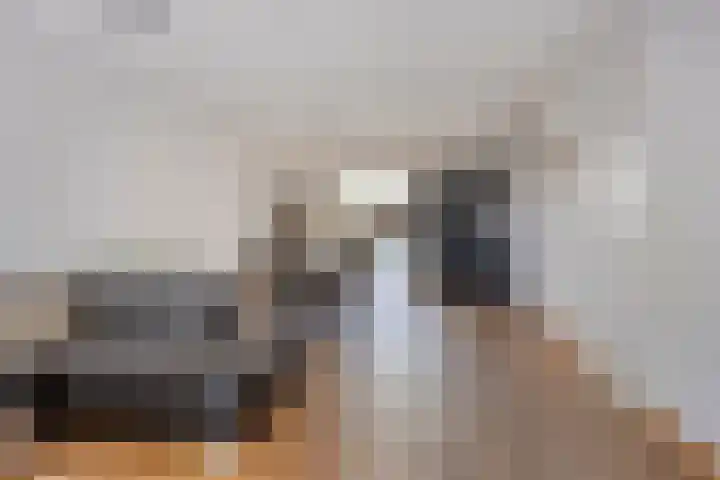 De Knolraap 35 Heesch thumbnail 4