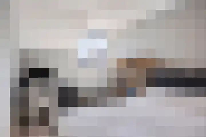 De Knolraap 4 Heesch thumbnail 18