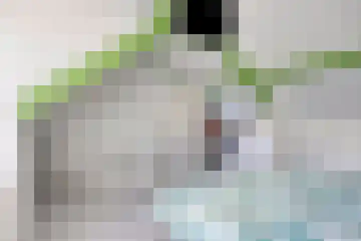De Knolraap 4 Heesch thumbnail 28