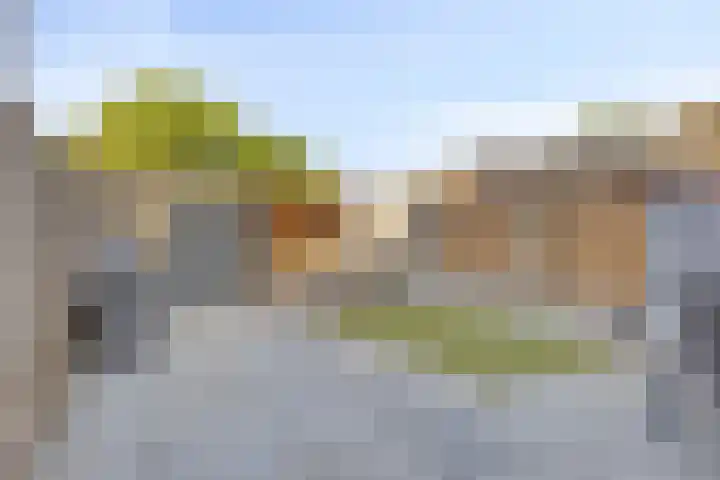 De Knolraap 4 Heesch thumbnail 29
