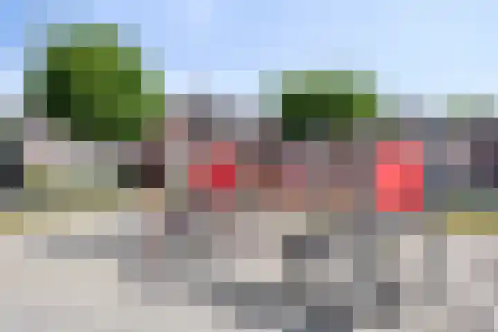 De Knolraap 4 Heesch thumbnail 34