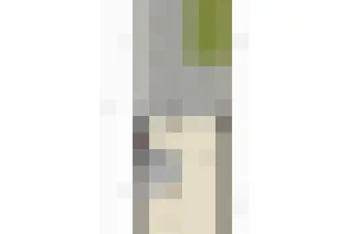 De Knolraap 4 Heesch thumbnail 36