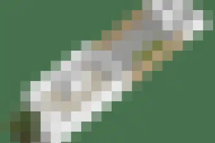 De Knolraap 4 Heesch thumbnail 37