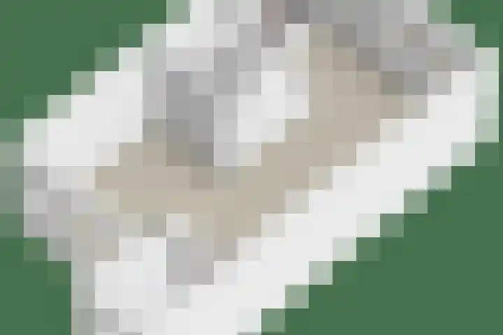 De Knolraap 4 Heesch thumbnail 39