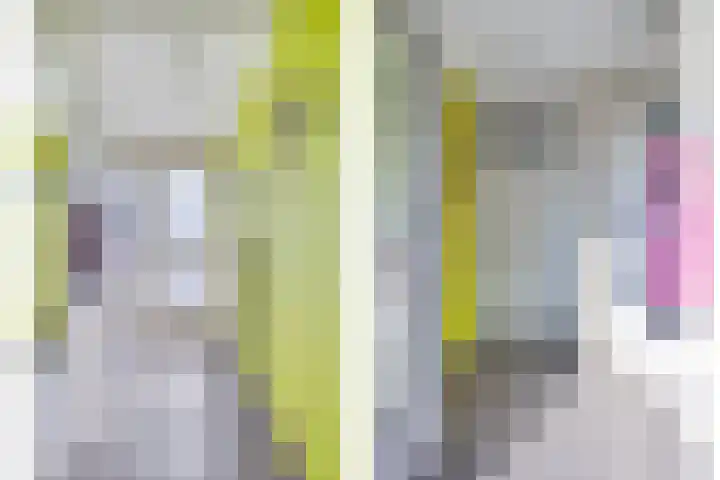 De Knolraap 4 Heesch thumbnail 4