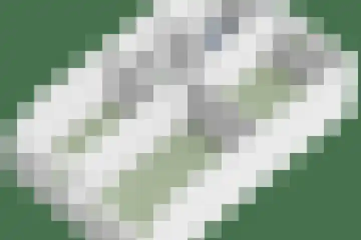 De Knolraap 4 Heesch thumbnail 41