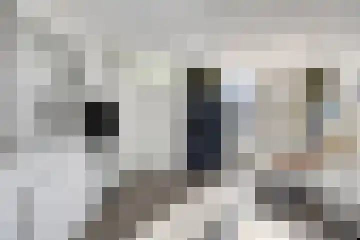 De Knolraap 4 Heesch thumbnail 5
