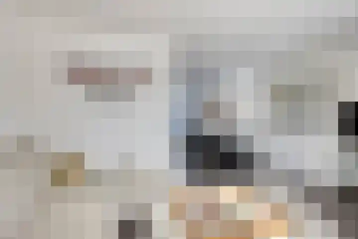 De Knolraap 4 Heesch thumbnail 8