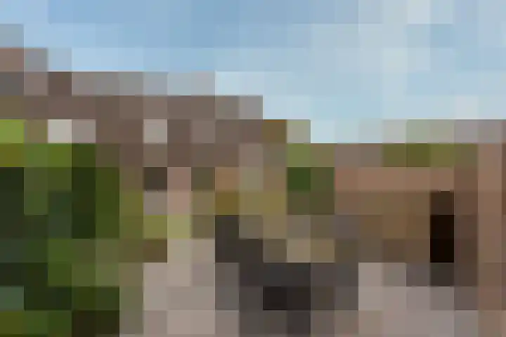 De Koekel 48 Woudenberg thumbnail 13