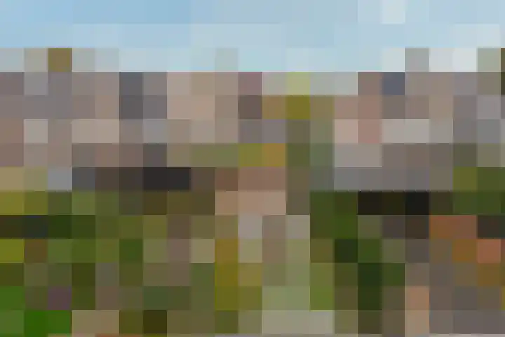 De Koekel 48 Woudenberg thumbnail 32