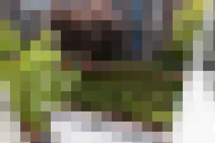 De Koffe 6 IJlst thumbnail 17