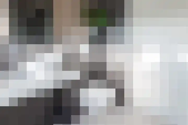 De Koffe 6 IJlst thumbnail 29
