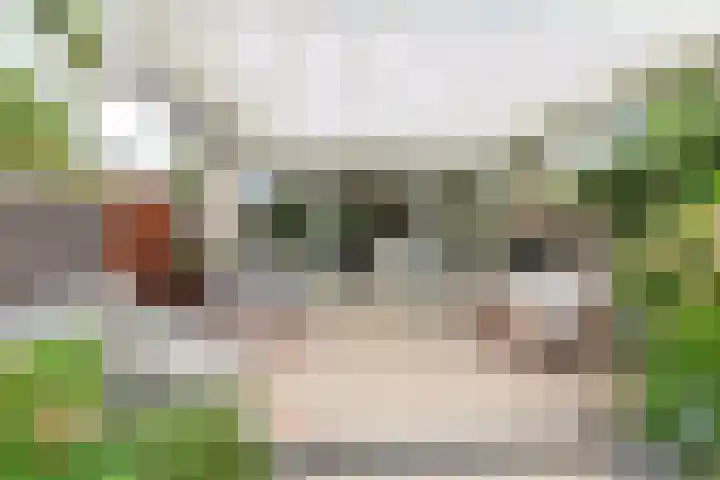 de Kogge 24 Muiden thumbnail 14