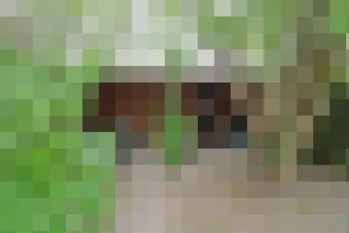 de Kogge 24 Muiden thumbnail 16