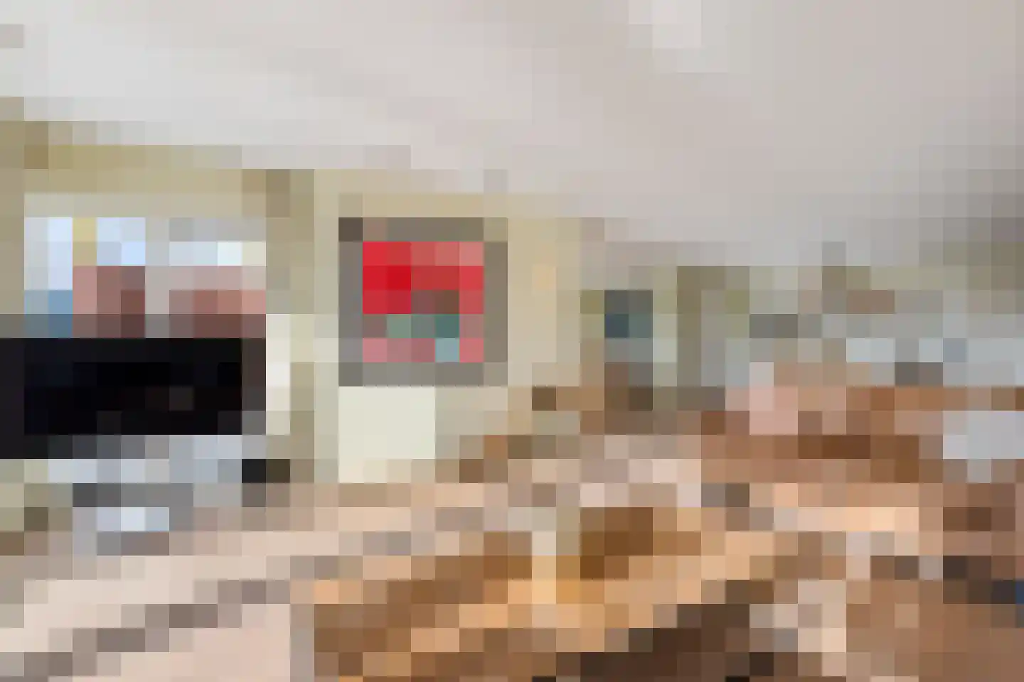 De Kolk 16 Woudsend thumbnail 11