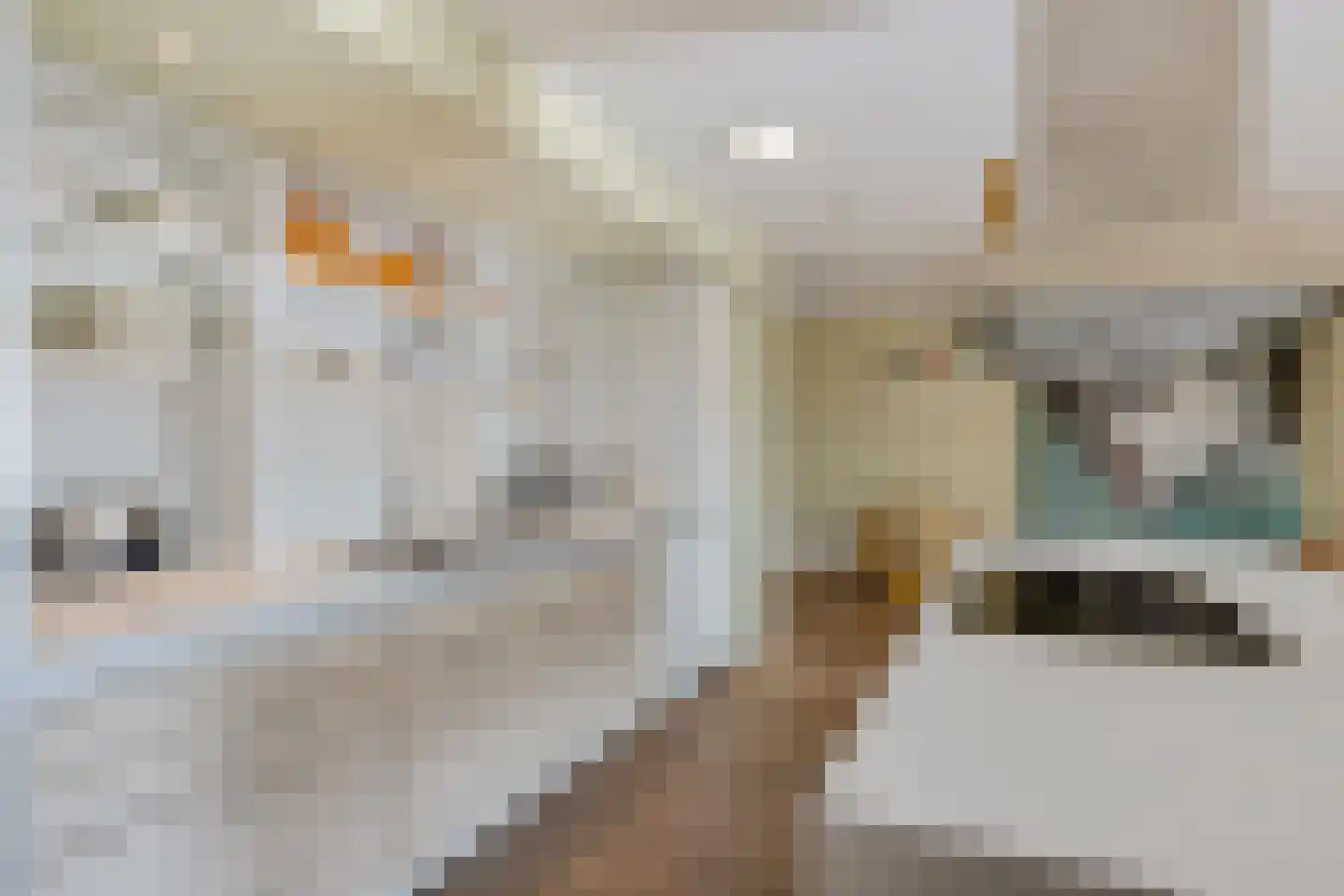De Kolk 16 Woudsend thumbnail 19