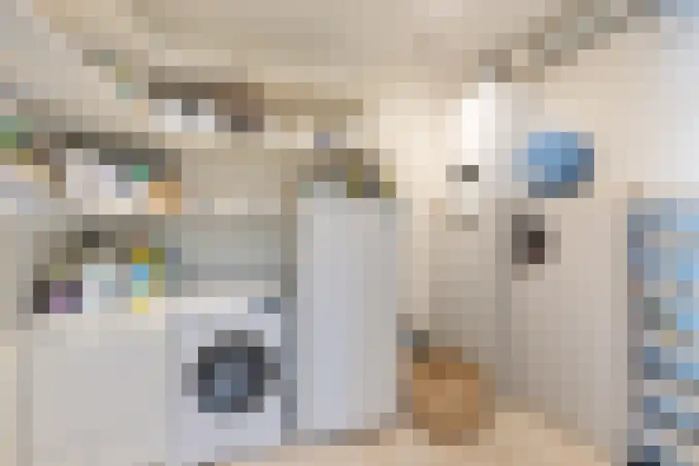 De Kolk 16 Woudsend thumbnail 30