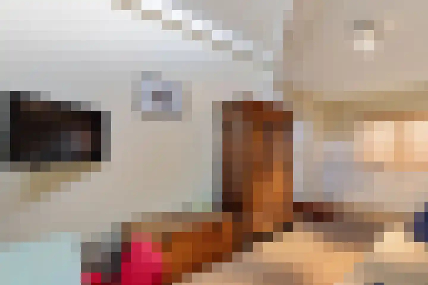De Kolk 16 Woudsend thumbnail 38
