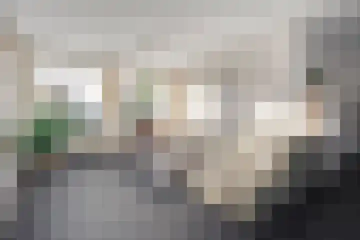 De Kolk 2 Hardenberg thumbnail 14