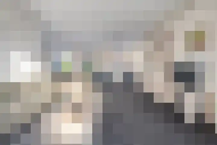 De Kolk 2 Hardenberg thumbnail 15
