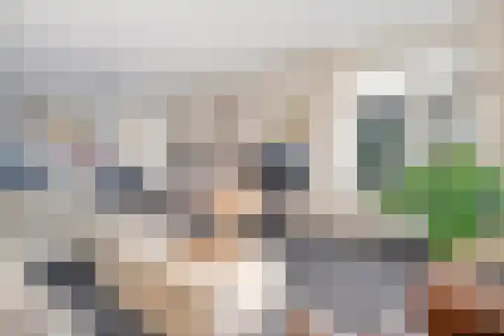 De Kolk 2 Hardenberg thumbnail 16