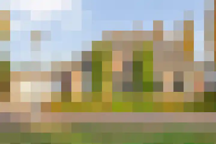 De Kolk 2 Hardenberg foto 2
