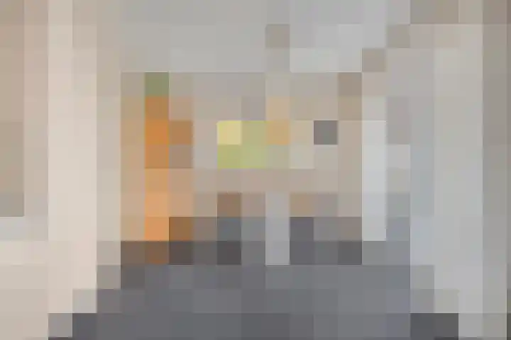 De Kolk 2 Hardenberg thumbnail 27