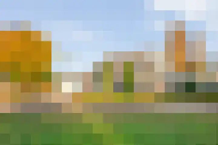 De Kolk 2 Hardenberg foto 3