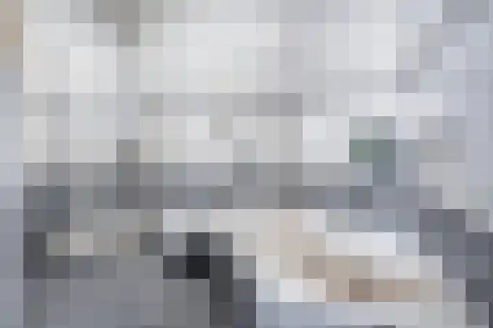 De Kolk 2 Hardenberg thumbnail 30