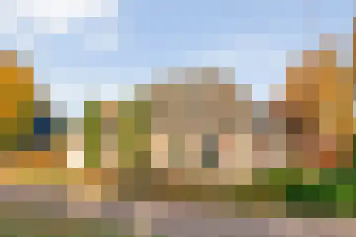 De Kolk 2 Hardenberg thumbnail 4
