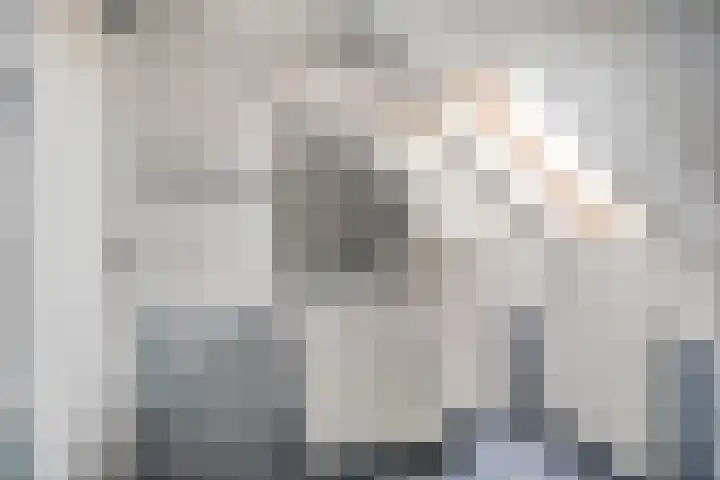 De Kolk 2 Hardenberg thumbnail 40