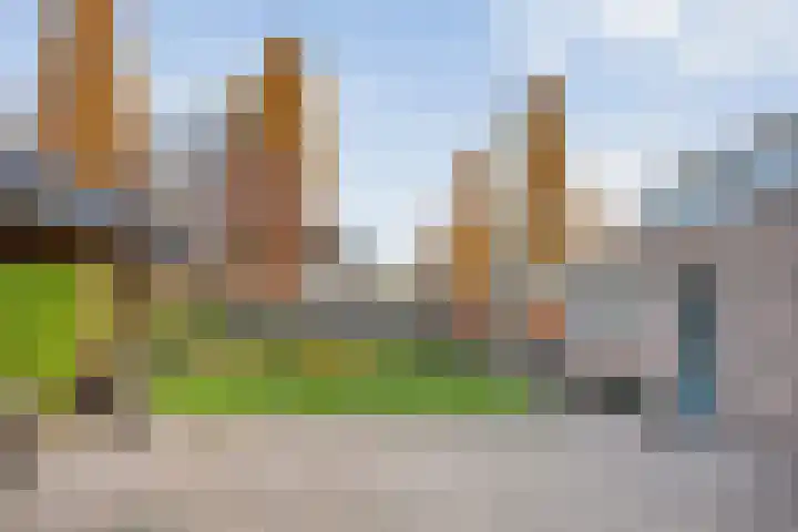 De Kolk 2 Hardenberg thumbnail 49