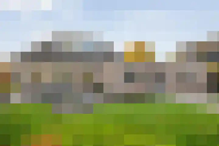 De Kolk 2 Hardenberg thumbnail 51