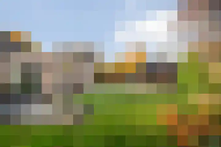 De Kolk 2 Hardenberg thumbnail 52