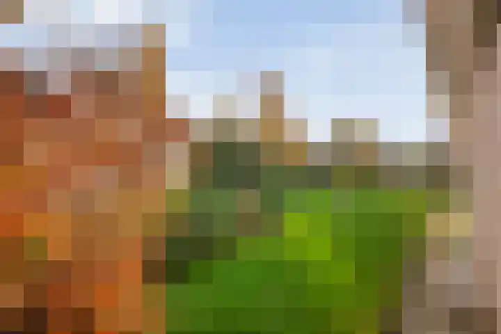 De Kolk 2 Hardenberg thumbnail 55