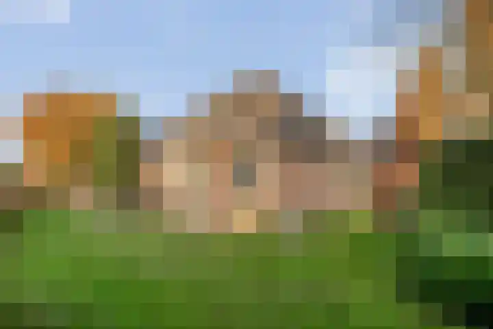 De Kolk 2 Hardenberg thumbnail 56