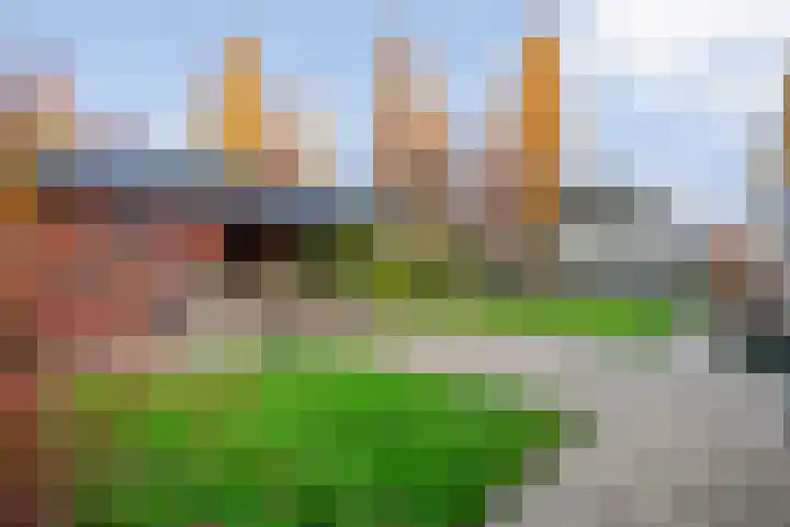 De Kolk 2 Hardenberg thumbnail 57