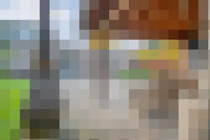 De Kolk 2 Hardenberg thumbnail 58