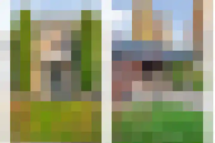 De Kolk 2 Hardenberg thumbnail 8