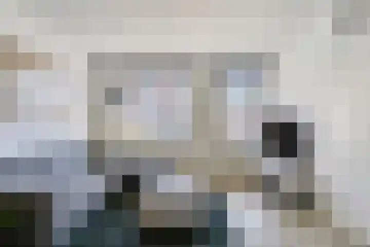 De Kolk 20 Horst thumbnail 11