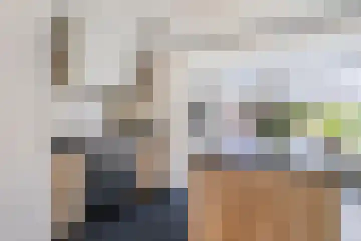 De Kolk 20 Horst thumbnail 15