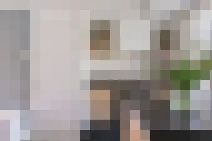 De Kolk 20 Horst thumbnail 16