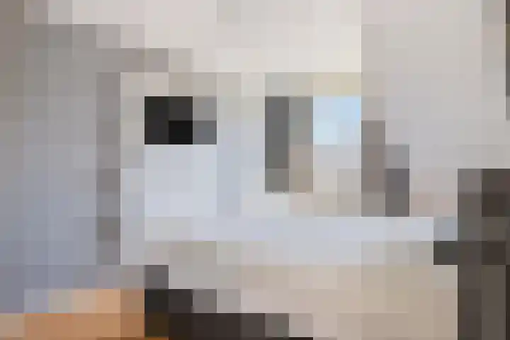 De Kolk 20 Horst thumbnail 21