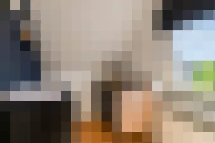 De Kolk 20 Horst thumbnail 23