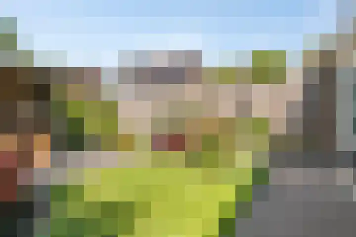 De Kolk 20 Horst thumbnail 28
