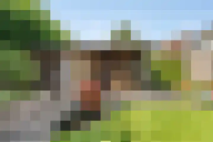 De Kolk 20 Horst thumbnail 29