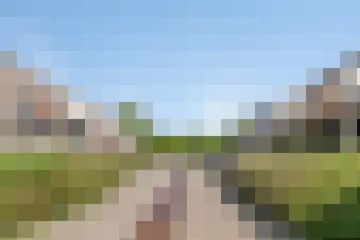 De Kolk 20 Horst thumbnail 32