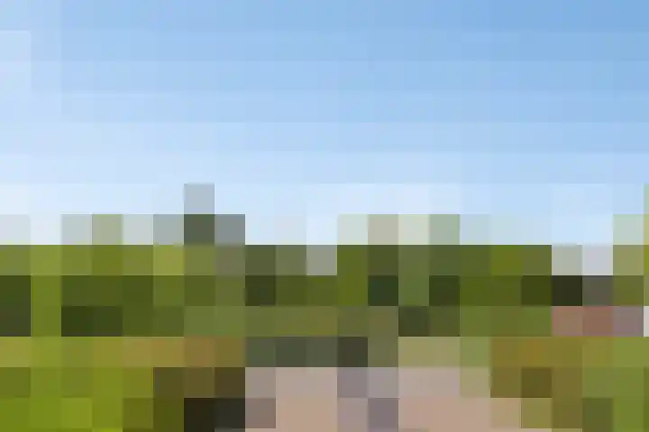 De Kolk 20 Horst thumbnail 33