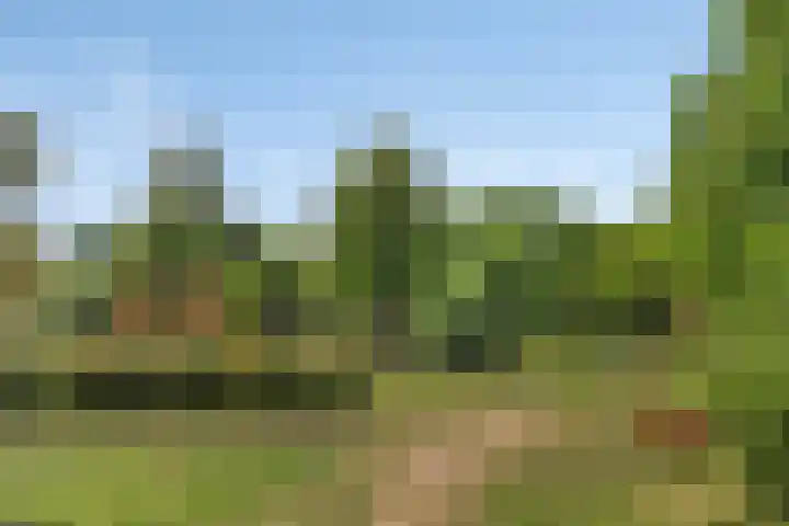 De Kolk 20 Horst thumbnail 34